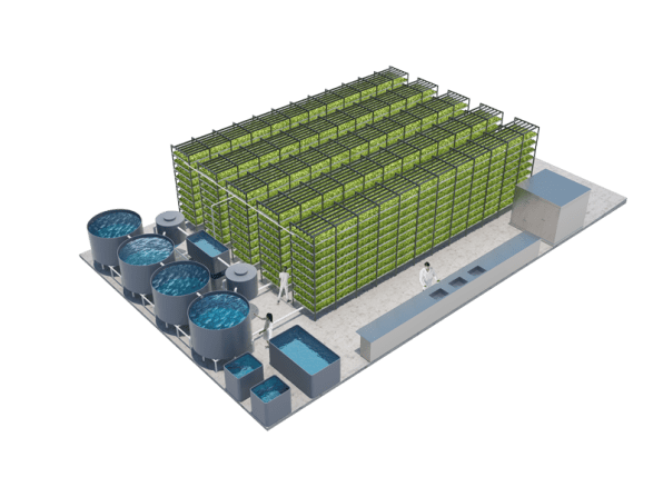 A Massive Aquaponic Lettuce And Fish Farm Will Grow In A 