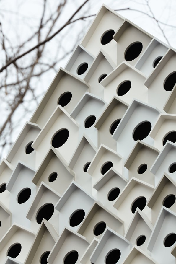 In A Japanese Forest, A Treehouse For Birds And People