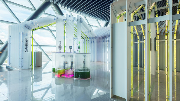 These Architects Want To Make Algae Farming Just Another Part Of Urban