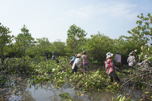 These Tree-Planting Drones Are About To Start An Entire Forest From Th These Tree-Planting Drones Are About To Start An Entire Forest From Th