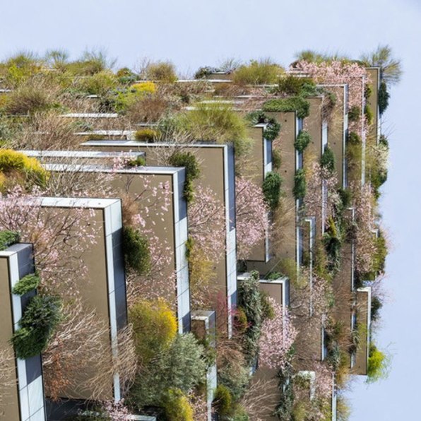 , Cities are getting hotter, but we can redesign them to keep us cool, #Bizwhiznetwork.com Innovation ΛI