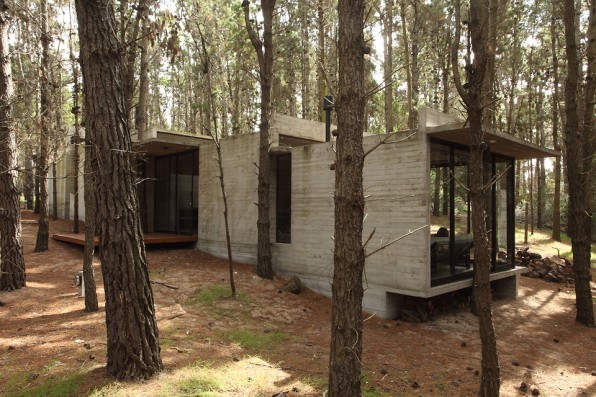 A Forest Hideaway Proves Concrete And Cozy Can Go Together