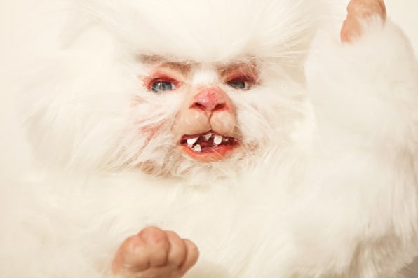 Puppy Babies The Ultimate In Cute Or The Stuff Of Nightmares