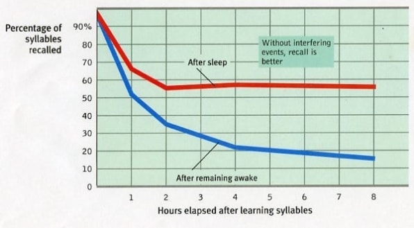 Taking more naps could change your brain size