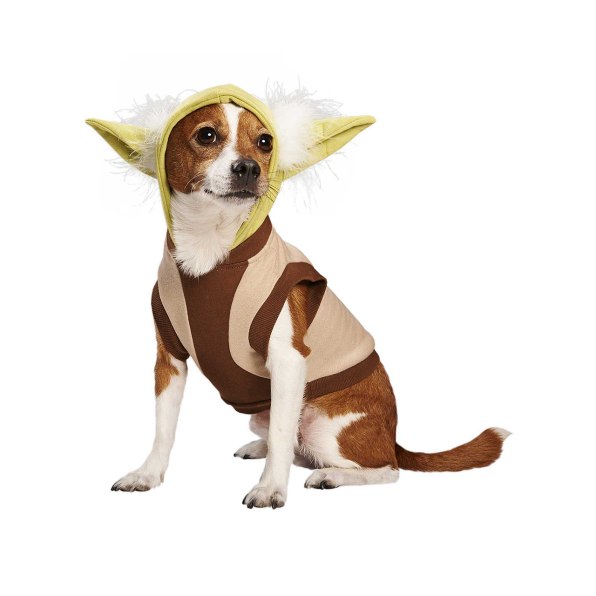 Star wars outlet dog accessories