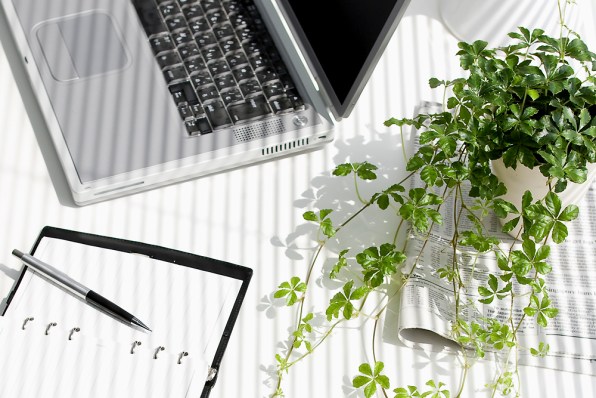 Want To Be More Productive Buy Some Desk Plants