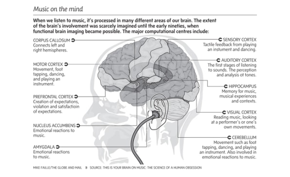 The Science of Music: How Music Education Enhances Brain Development — A  Child's Song : Music Changes Lives