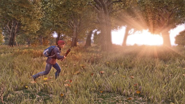 DayZ' standalone alpha hits December, developer not worried about