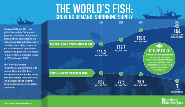 4 Ways To Renew The Dwindling Global Fish Supply