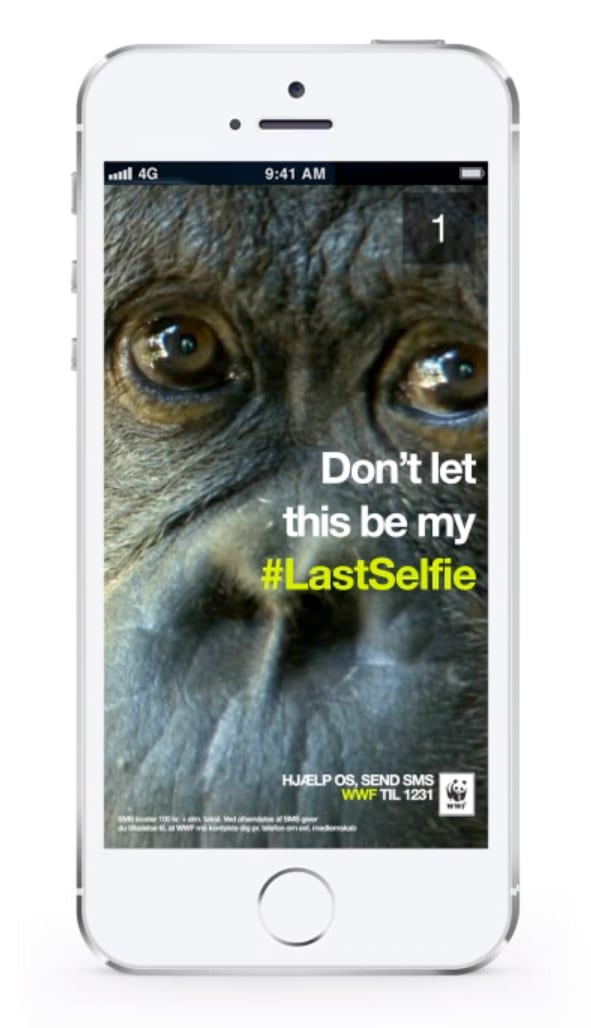Selfie monkeys' are now endangered because people can't stop
