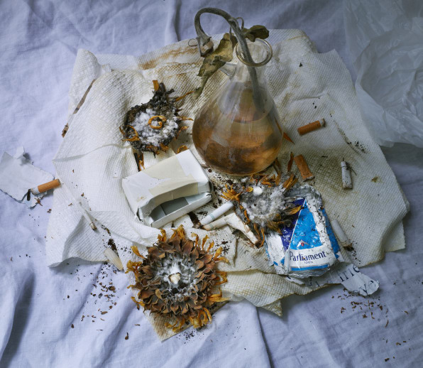 These Gorgeous Still Lifes Are Made From All Our Litter