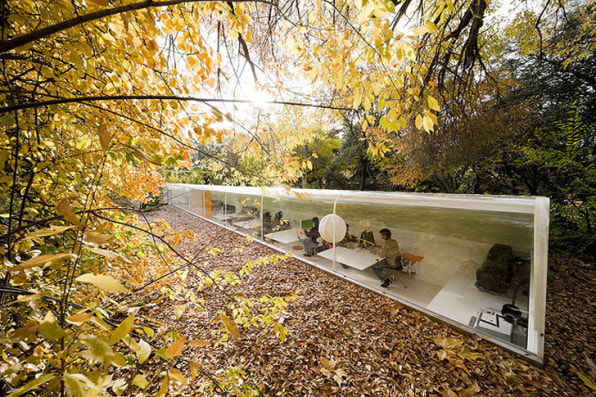 Commune With Nature In These 6 Productivity-Boosting Offices