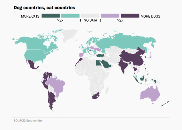 Why cats and dogs are different - The Washington Post