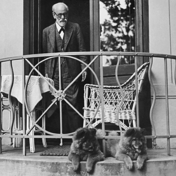 فروید و سگ هایش