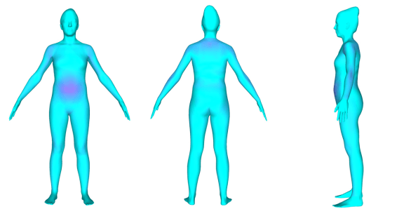 Explore Cornell - The 3D Body Scanner - Current Research