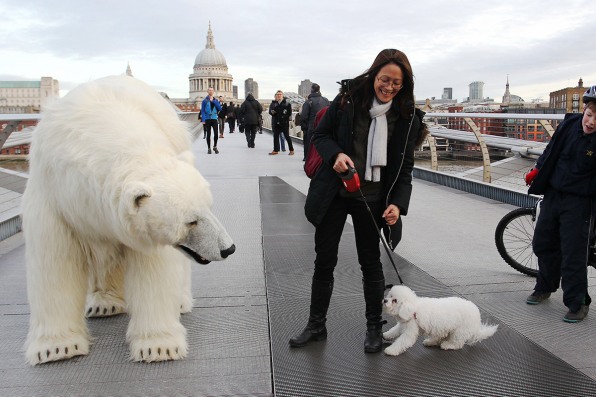 Bears around London