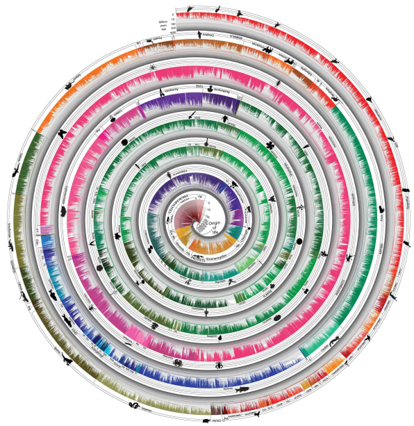 See How 50,000 Species Evolved With This Beautiful, Swirling Timeline