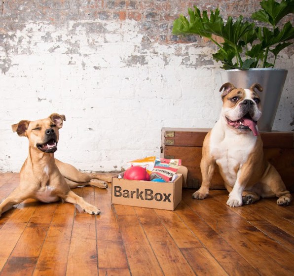 companies like barkbox