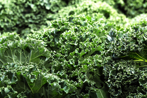 Is Kale a Superfood? Here's why you can actually eat too much