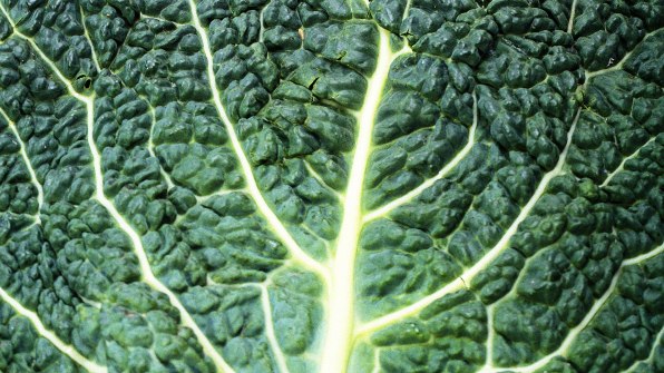 There Is Such A Thing As Eating Too Much Kale