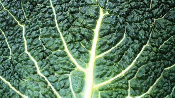 Symptoms of Eating Too Much Kale