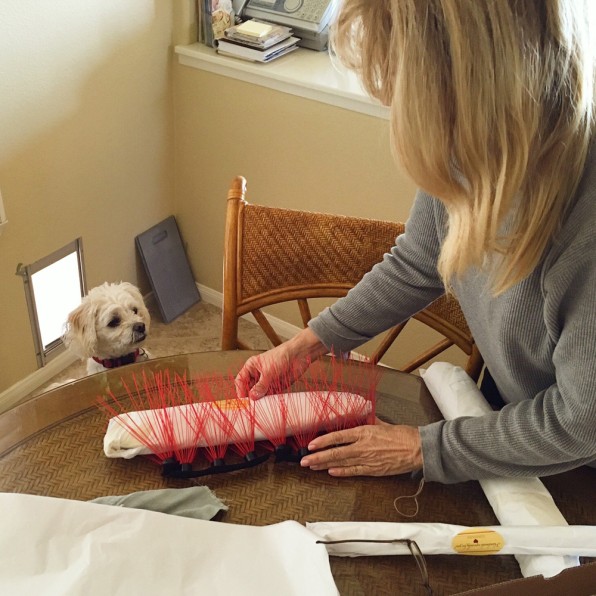 coyote vest for dogs with spikes