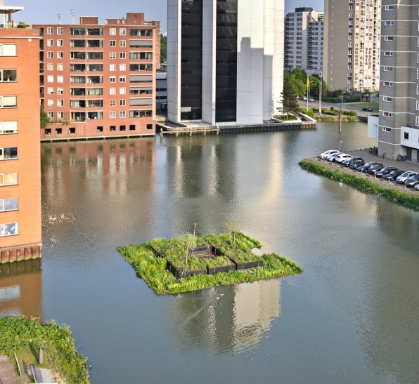 Experimental City: How Rotterdam Became A World Leader In Sustainable