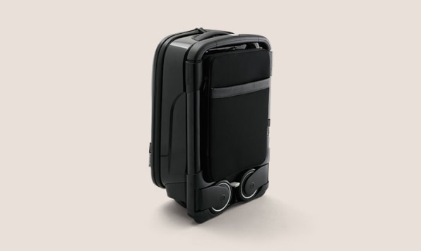 bugaboo luggage amazon