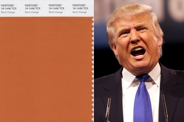 What Pantone Color Is Donald Trump