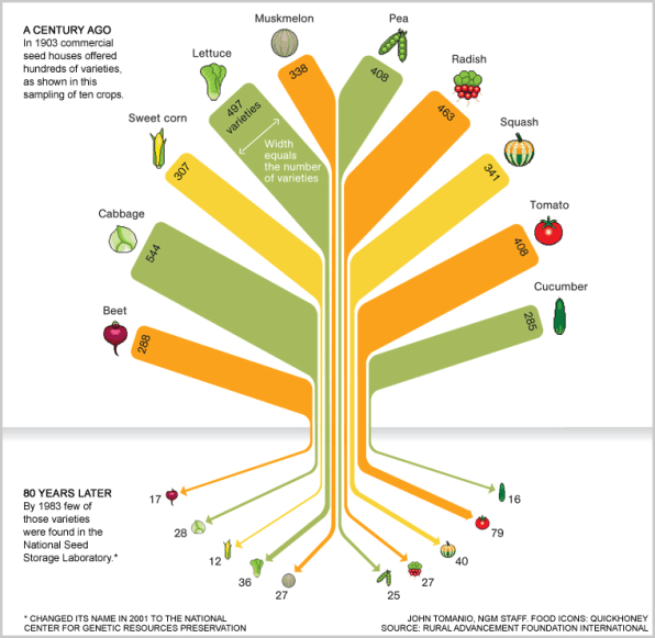 Beet Variety Chart