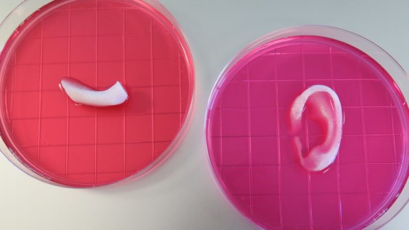 3d Printing Living Organs And Other World Changing Ideas In Health