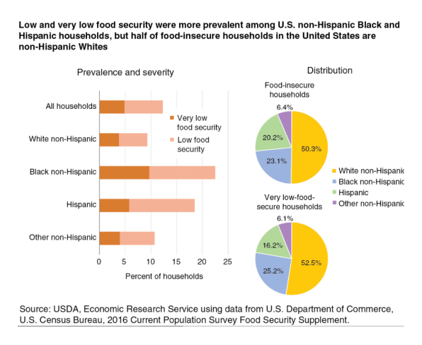 America Can T Make Progress On The Fight Against Food Insecurity