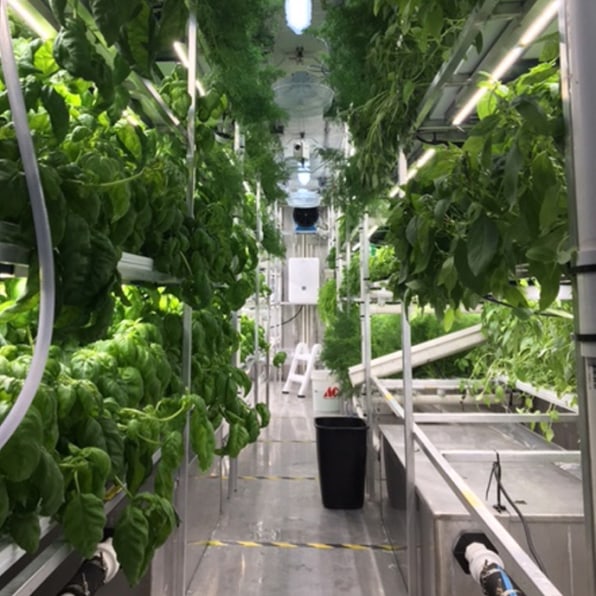 These Cold Weather Container Farms Let Produce Grow In The