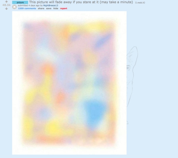 This Reddit Found Disappearing Paint Illusion Could Be 2018 S Blue Dr
