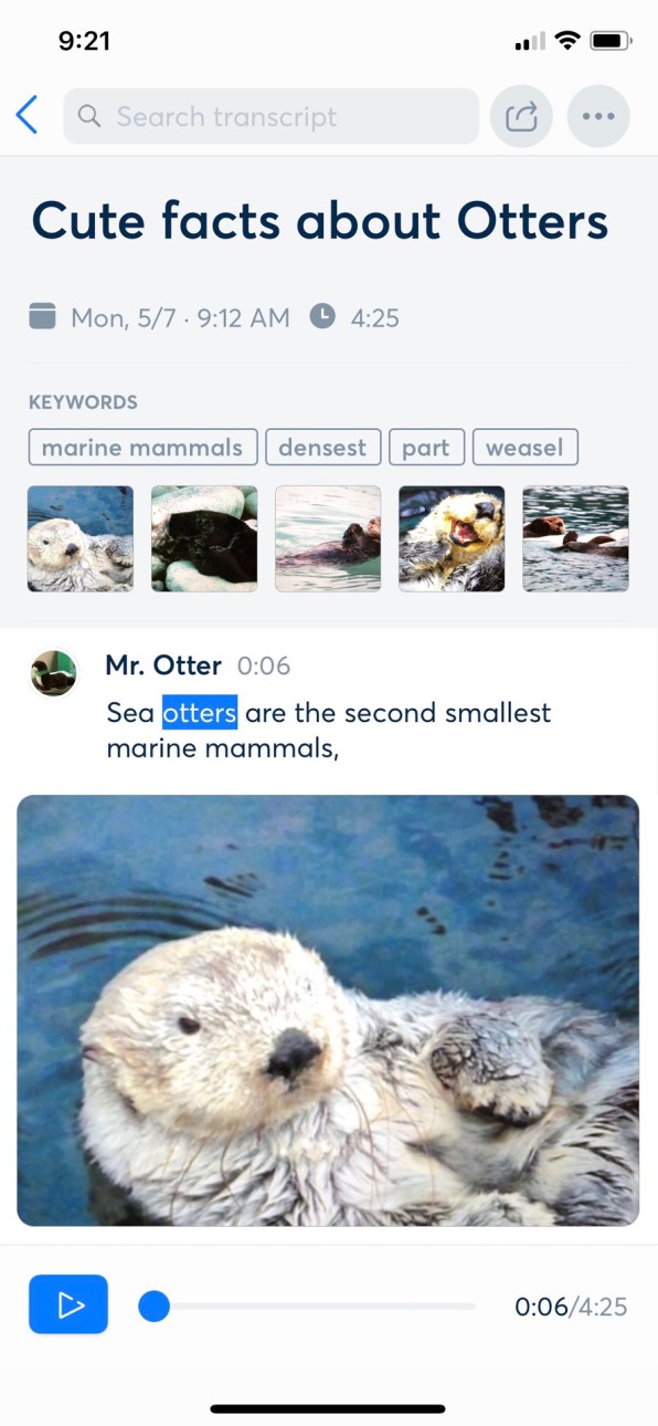 otter record and transcribe