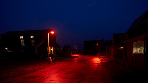 These Bat Friendly Lights Show How To Make Cities Safe For Nature