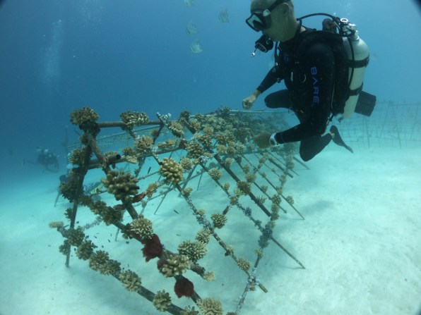 Modular Artificial Reef Structure (MARS)