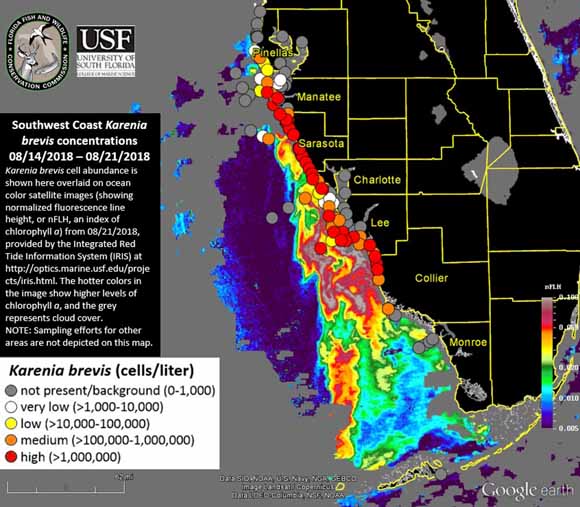 The hunt for red tide relies upon AI and retirees