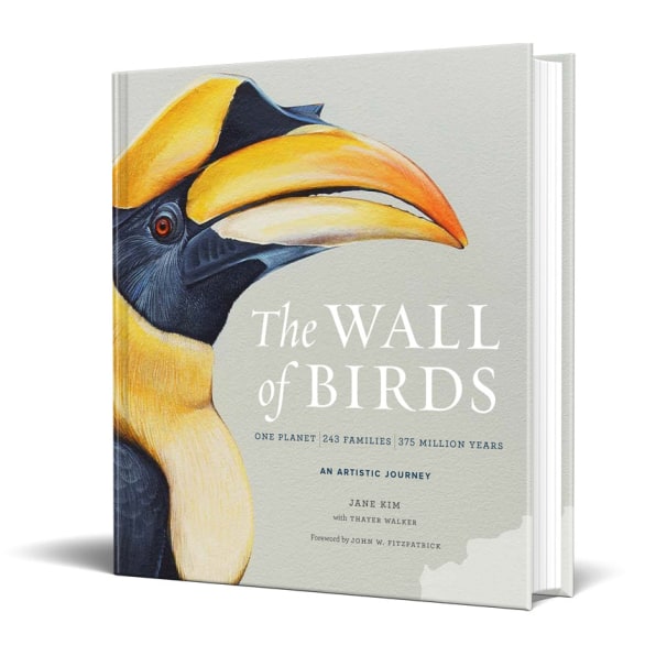 The Wall of Birds by Jane Kim at Cornell Lab of Ornithology