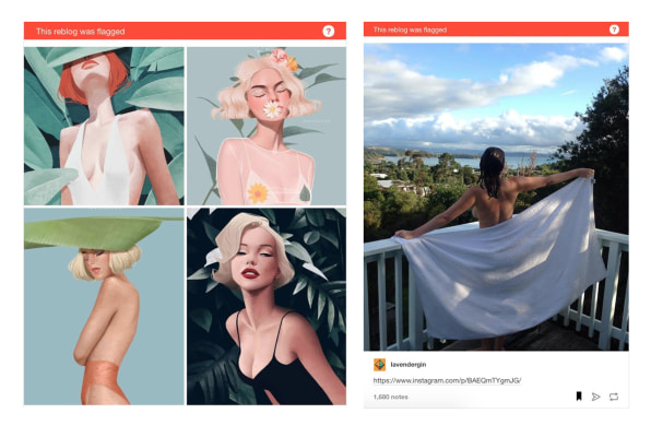 Meet the Tumblr castaways trying to save its NSFW content pic