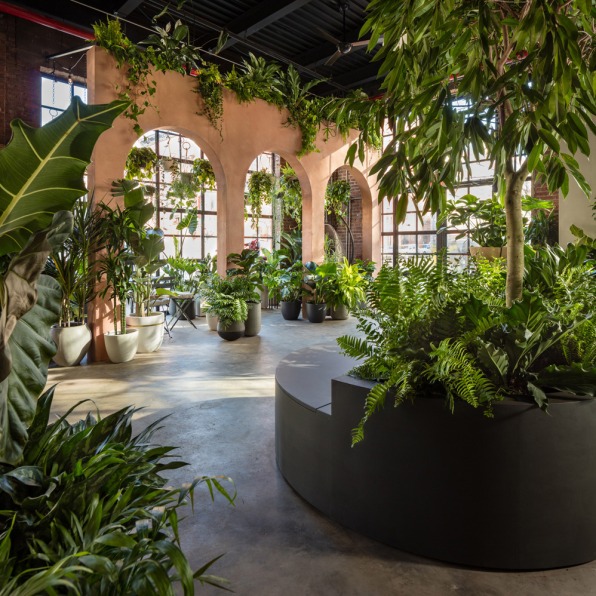 These Startups Sell Plants To Stressed Out Millennials