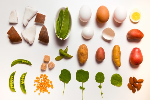 Motif Ingredients will create and sell new plant proteins