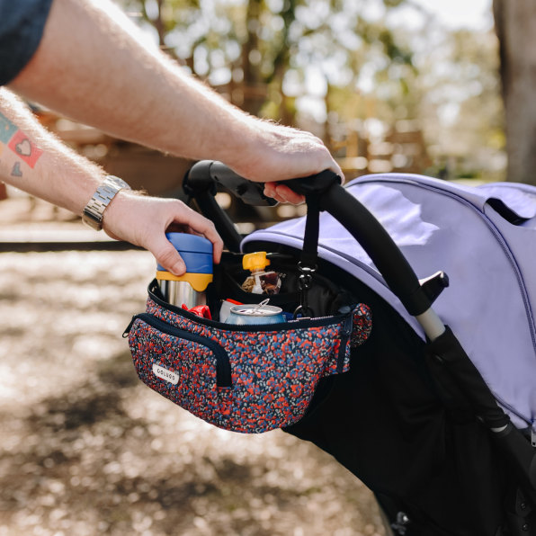 Colugo The on The Go Organizer and Fanny Pack in Black