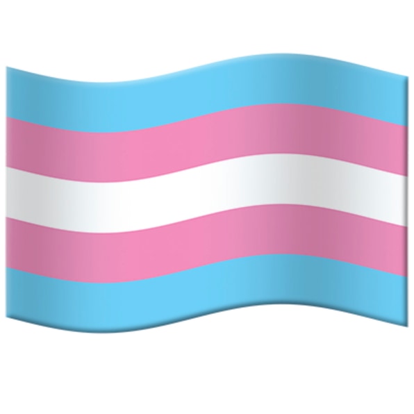 Flag trans What is