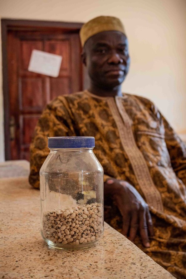 Genetically Modified Seeds In Ghana Raise Questions Among Farmers