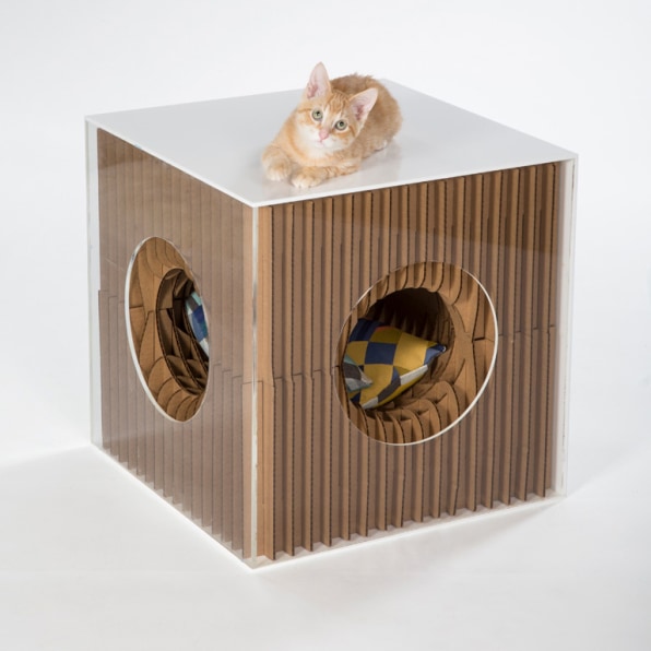 Custom-Designed Cat Homes