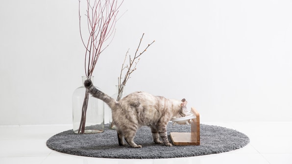 Tuft & paw online
