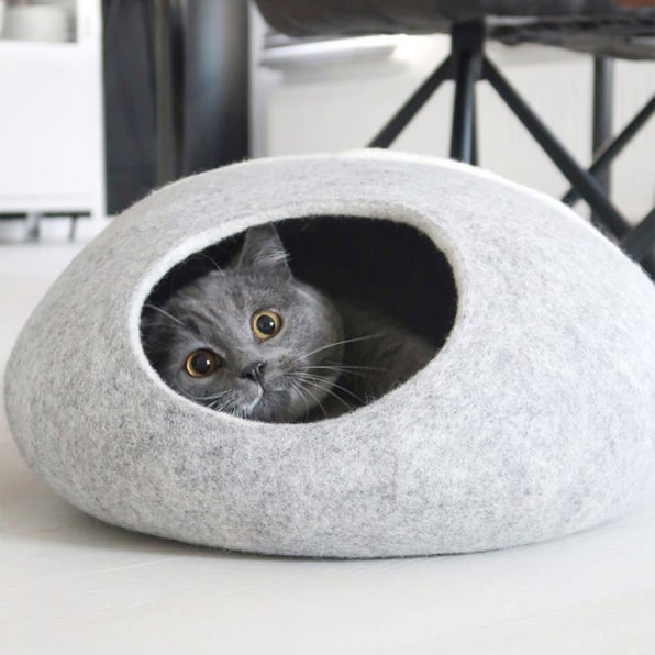 West elm of cat deals furniture