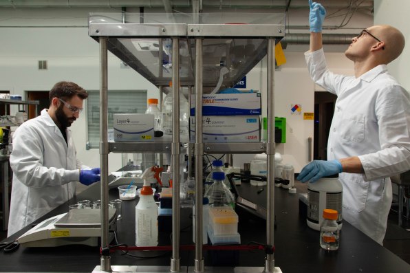Perfect Day Raises 140 Million For Lab Grown Dairy