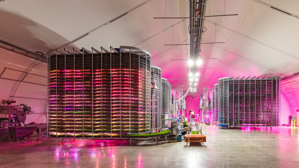 Grov Technologies: granjas verticales para alimentar al ganado vacuno